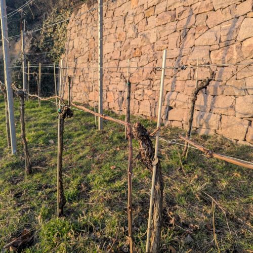 Neue Lage – neue Herrausforderung